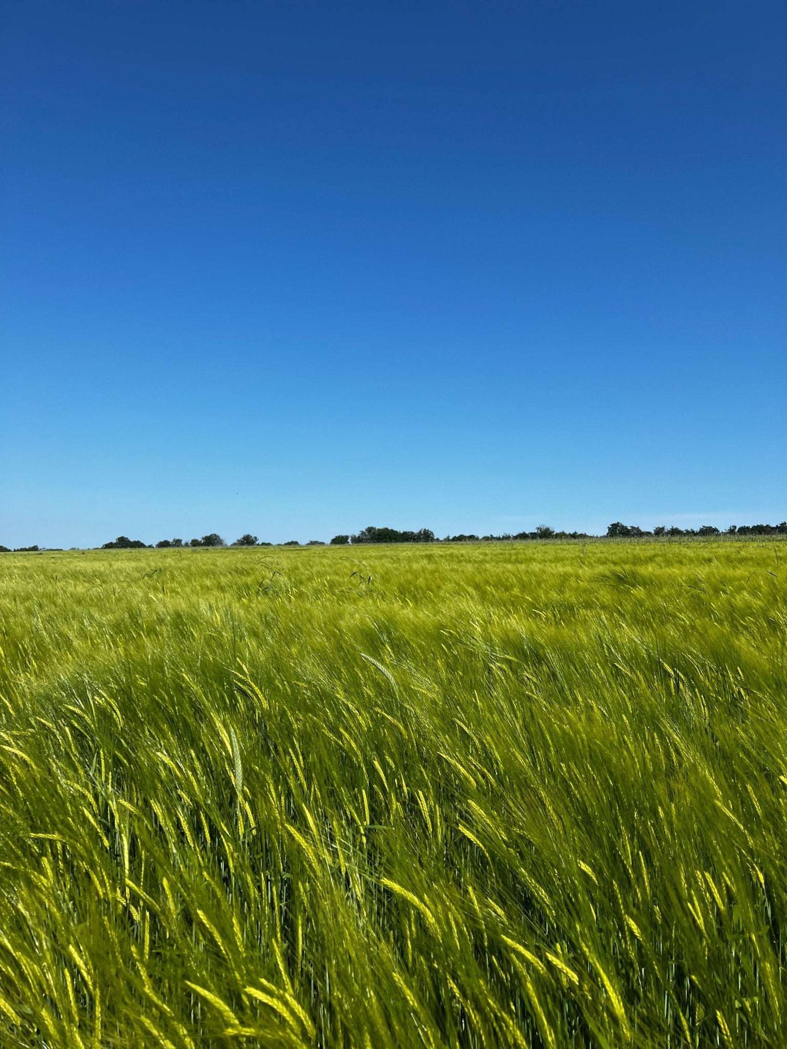 Perfume Capital Of The World - Grasse
