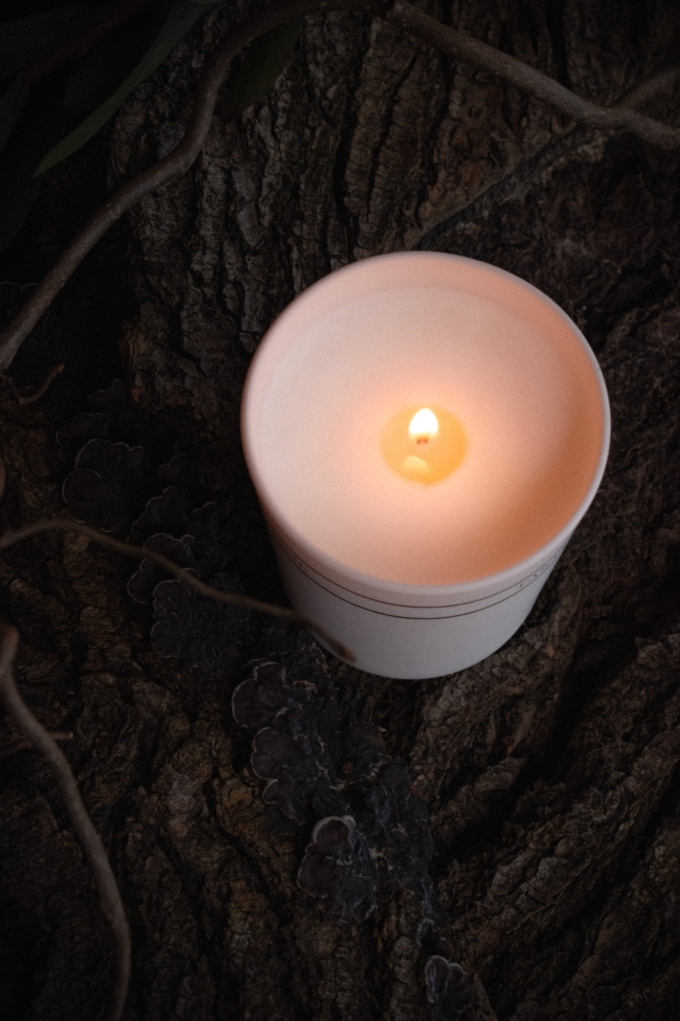 The Fascinating Meanings Behind Different Types of Candle Flames New